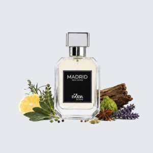 madrid-image